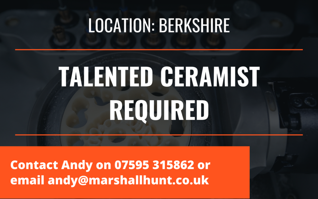 TALENTED CERAMIST REQUIRED